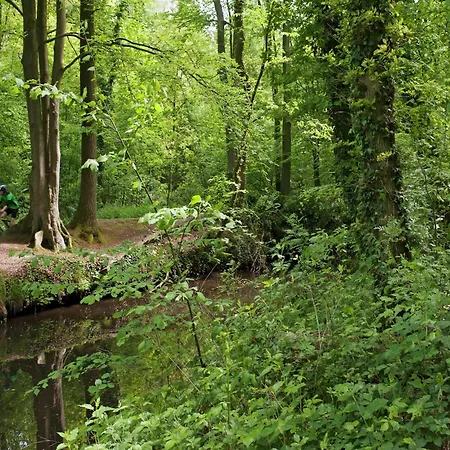 Cozy With A Dishwasher At A Holiday Park In The Achterhoek * Brinkheurne