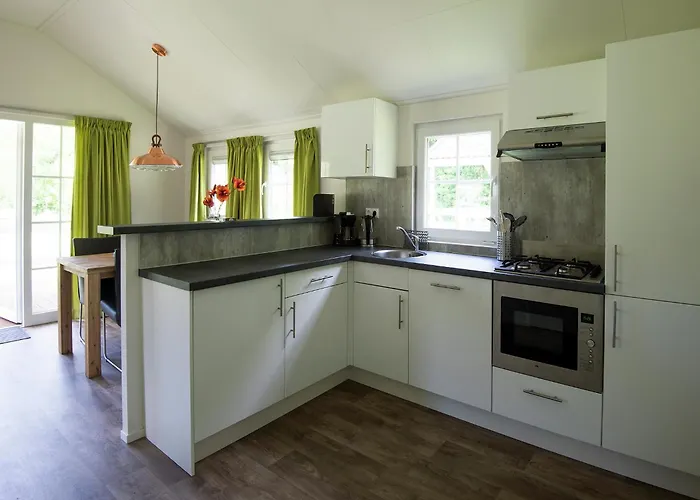 Cozy With A Dishwasher At A Holiday Park In The Achterhoek Holiday home *