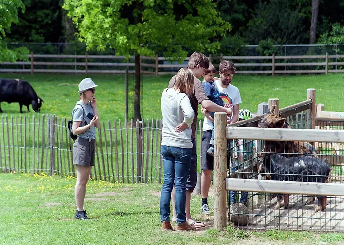 Cozy With A Dishwasher At A Holiday Park In The Achterhoek *