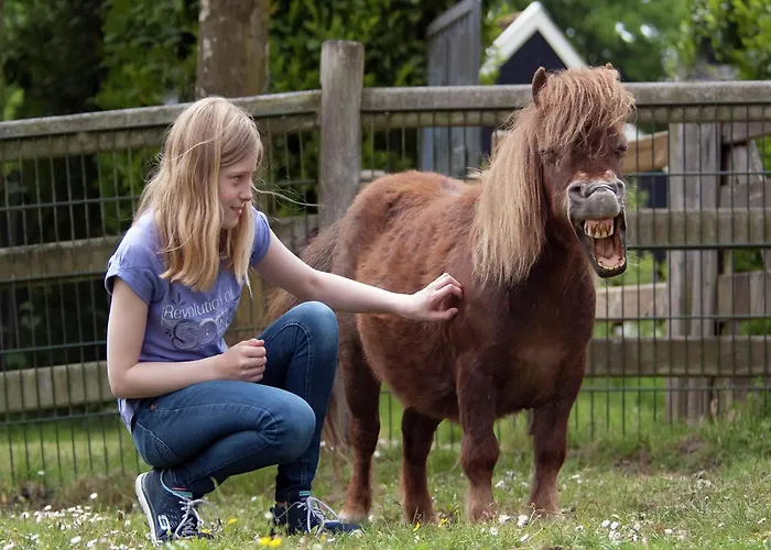 Cozy With A Dishwasher At A Holiday Park In The Achterhoek Brinkheurne