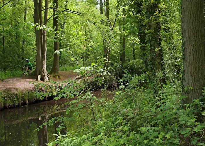 Cozy With A Dishwasher At A Holiday Park In The Achterhoek * Brinkheurne